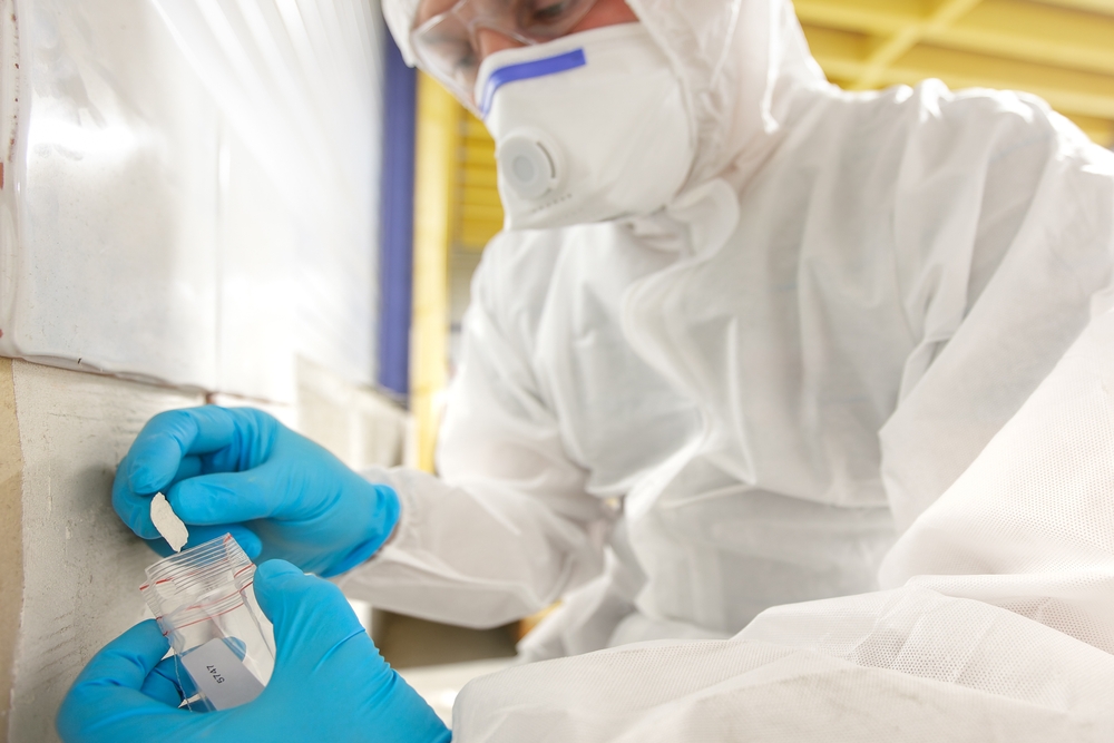 Asbestos,surveyor,taking,a,sample,of,building,material,in,small